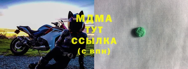 дживик Богородицк