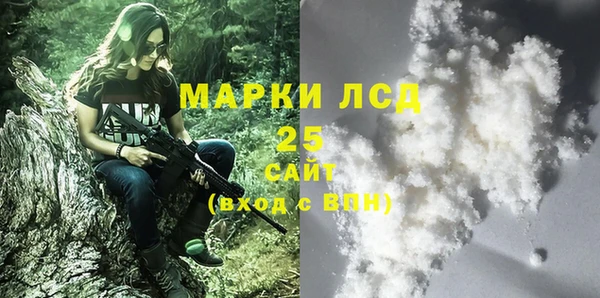 дживик Богородицк