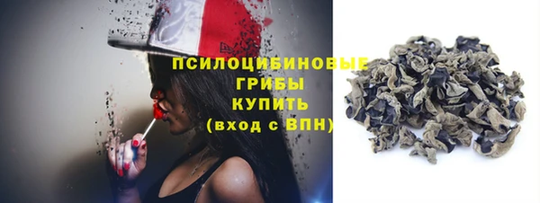 хмурый Валдай