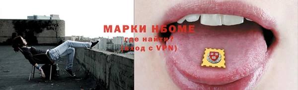 дживик Богородицк