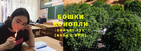 дживик Богородицк