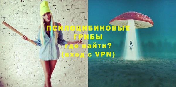 дживик Богородицк