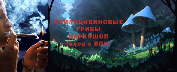 соль курить ск Белокуриха