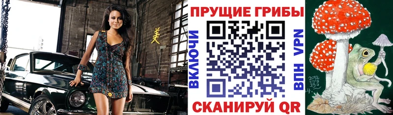 наркотики  shop телеграм  Псилоцибиновые грибы Cubensis  Ветлуга 